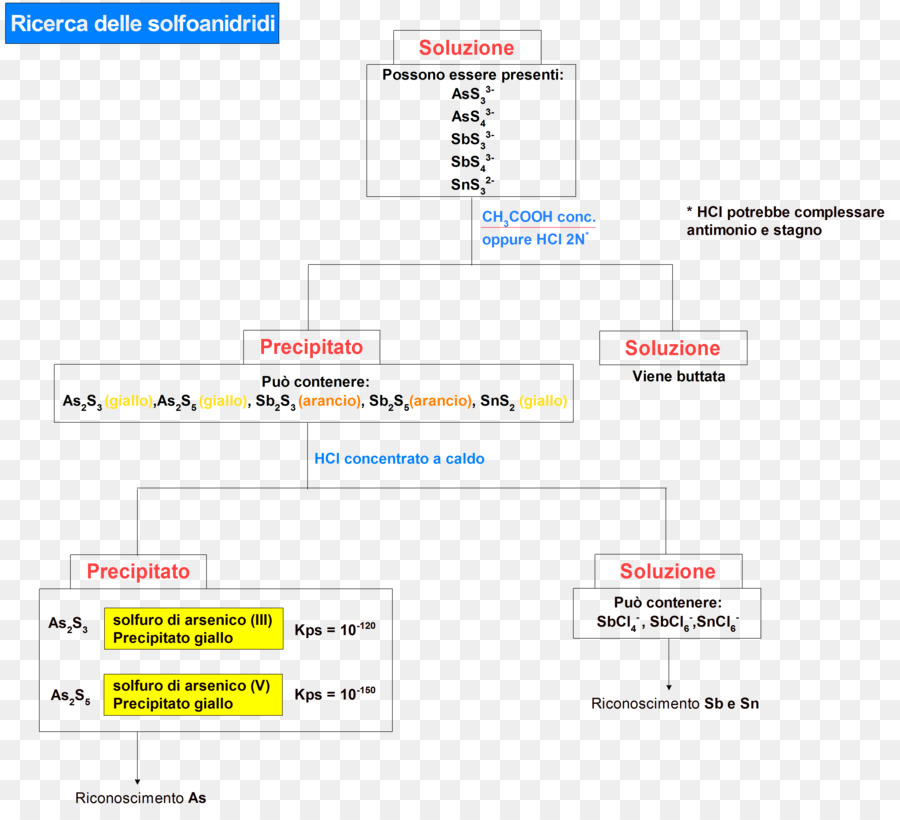 Diagramme，Organigramme PNG