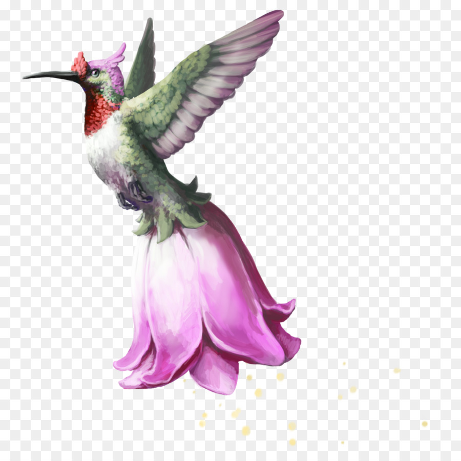 Colibri，Violet PNG