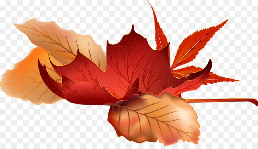 Feuilles Rouges，Automne PNG