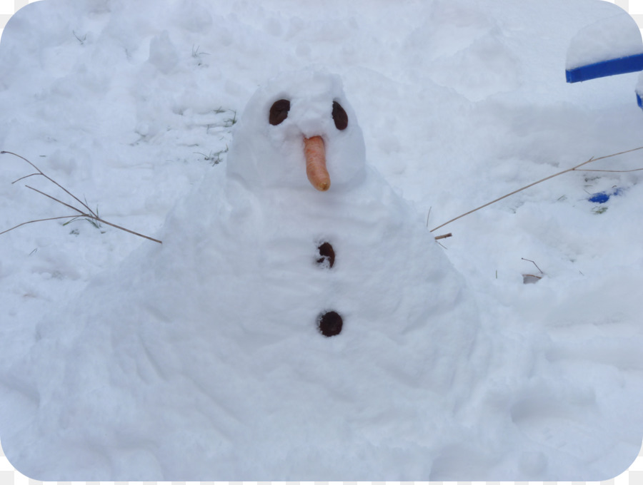 La Neige，Bonhomme De Neige PNG