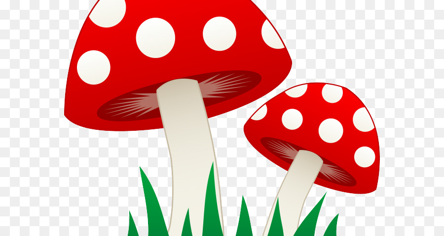 Champignons，Champignon Vénéneux PNG