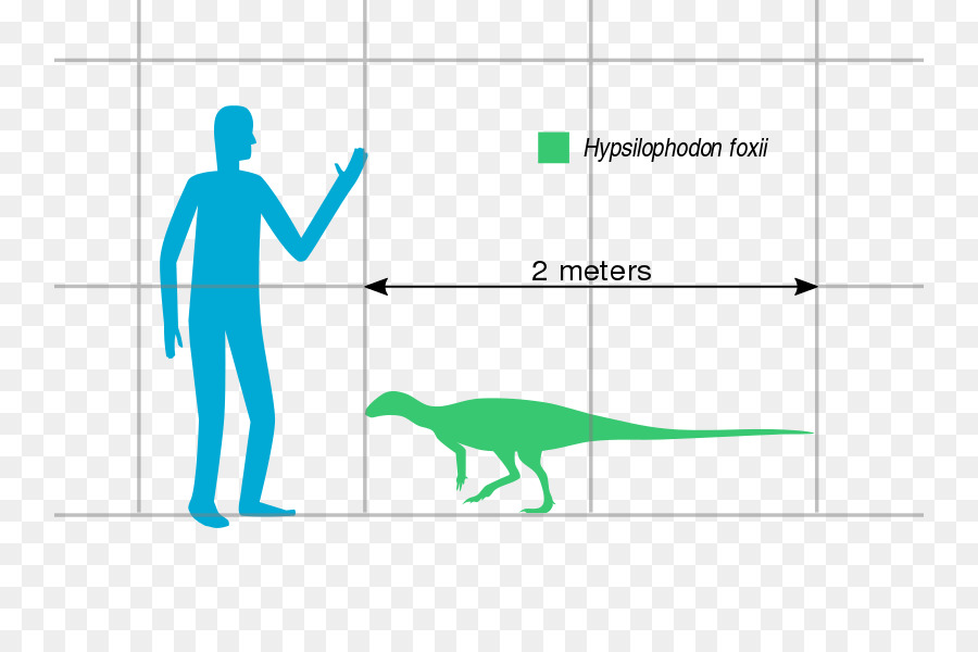 Hypsilophodon，Spinops PNG