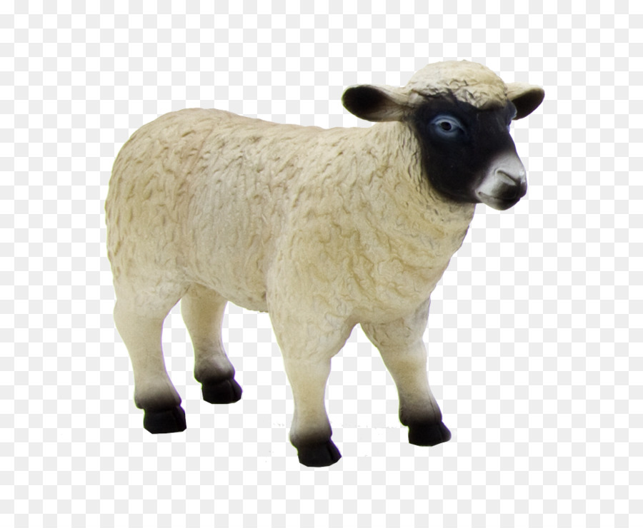 Agneau，Mouton PNG