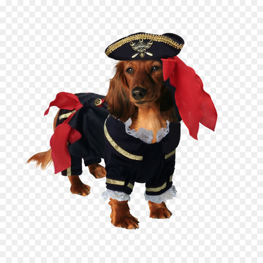 Chien，Costume PNG