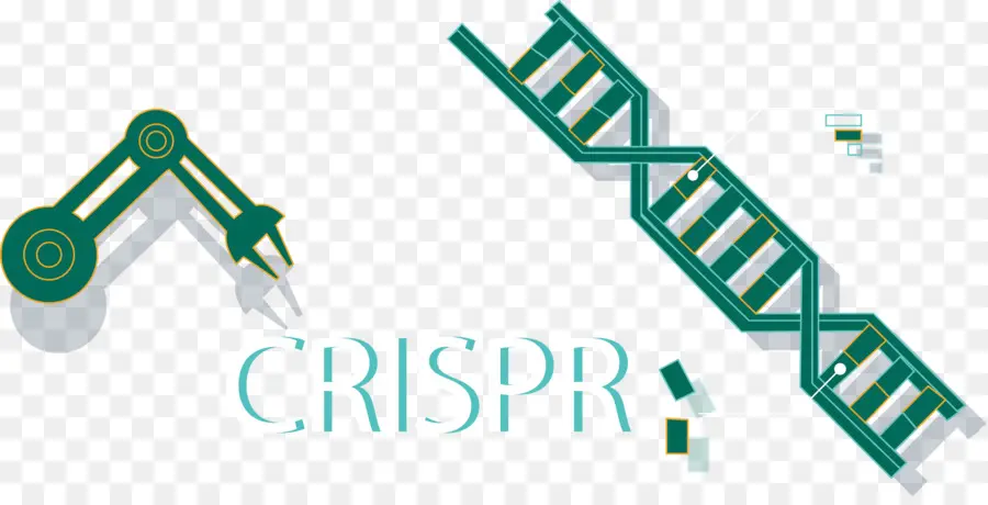 Crispr，Modification Génétique PNG