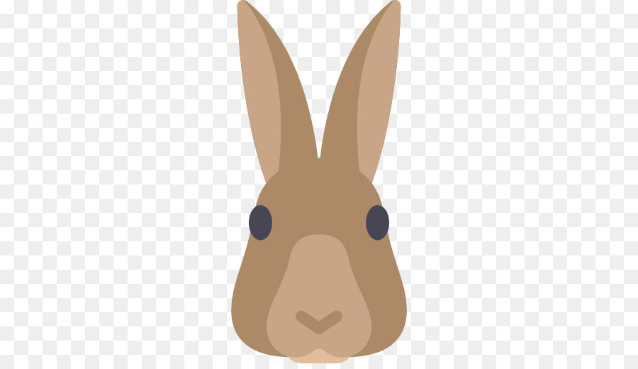 Visage De Lapin，Lapin PNG