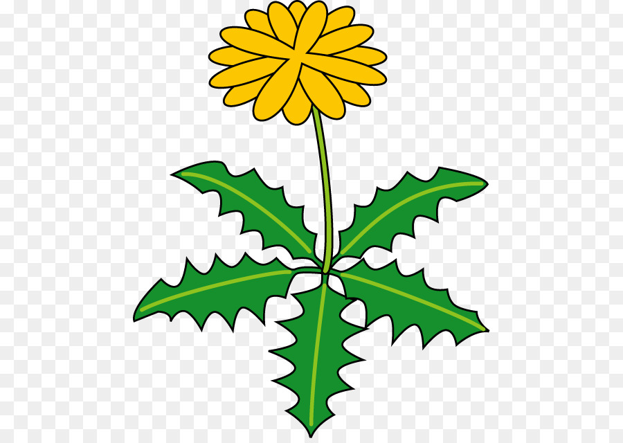 Pissenlit，Fleur PNG