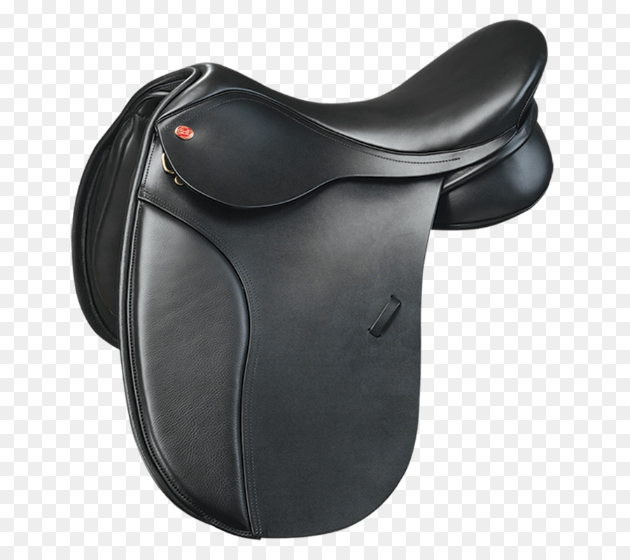 Cheval，Dressage PNG