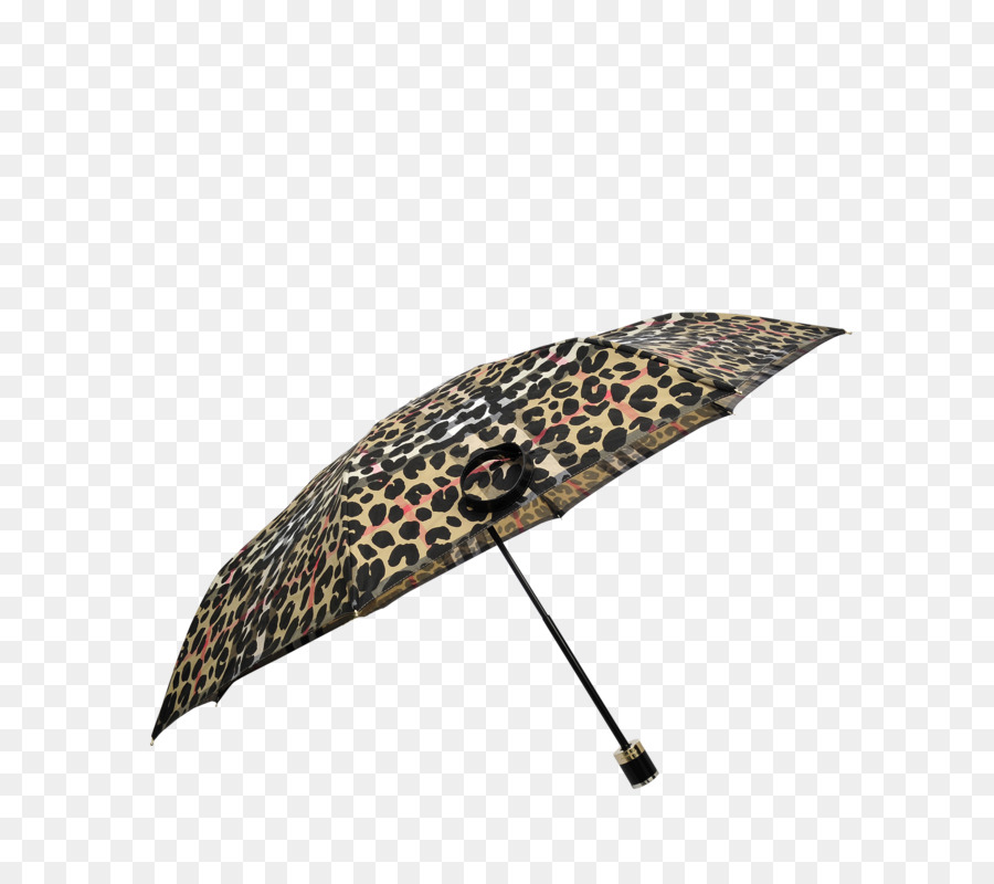 Parapluie，Pasotti PNG