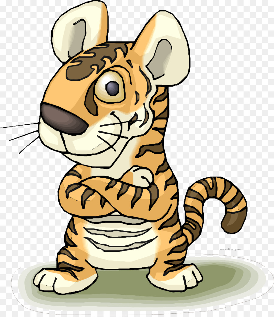 Chat，Felidae PNG