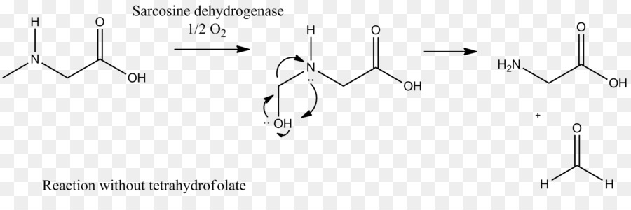 Sarcosine Déshydrogénase，Sarcosine PNG