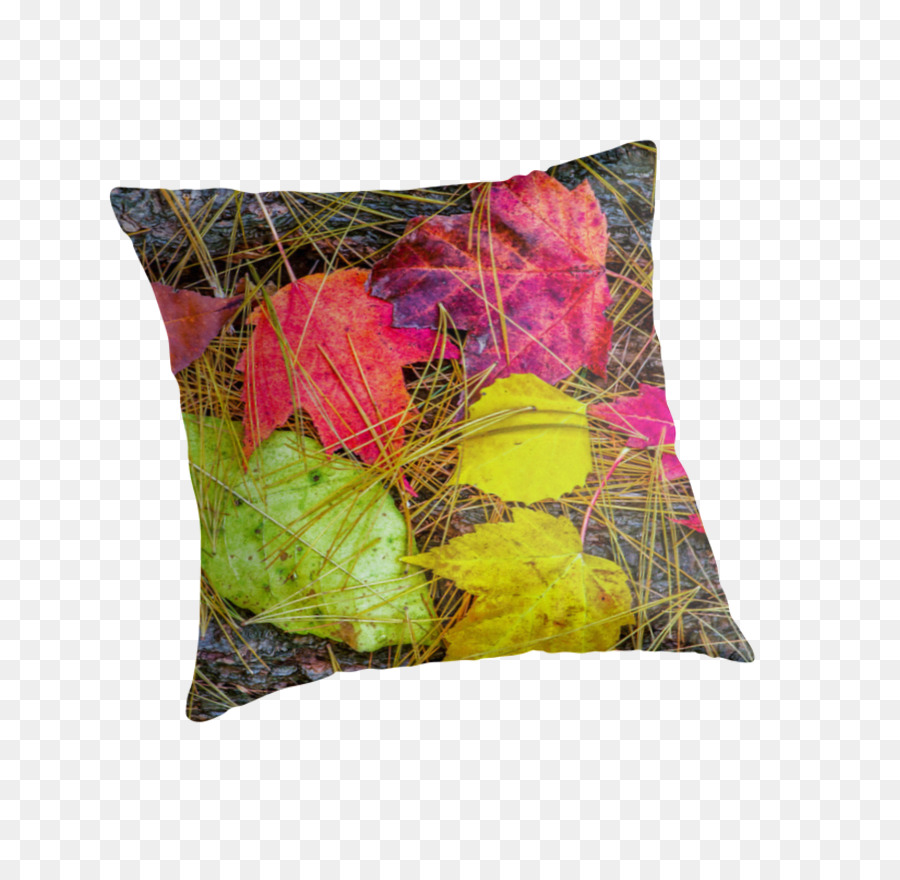 Coussin，Les Coussins PNG