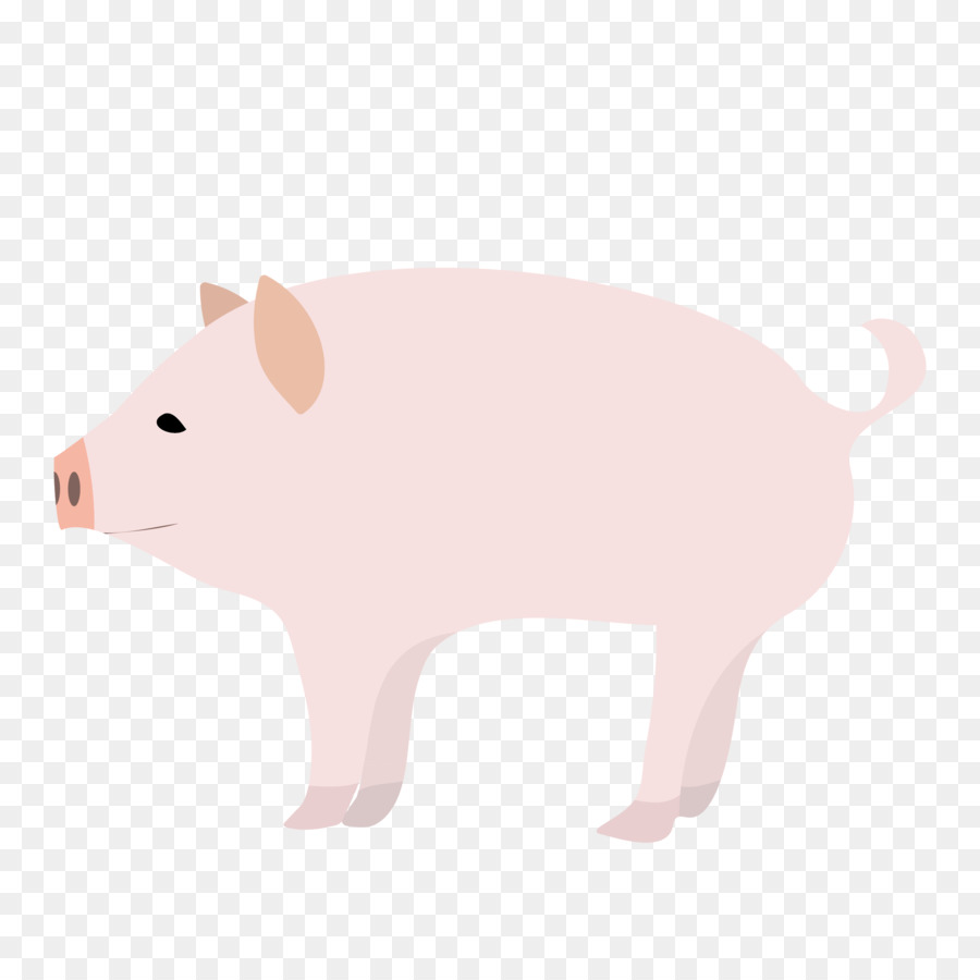 Cochon，Ferme PNG