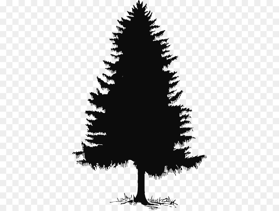 Pin，Evergreen PNG