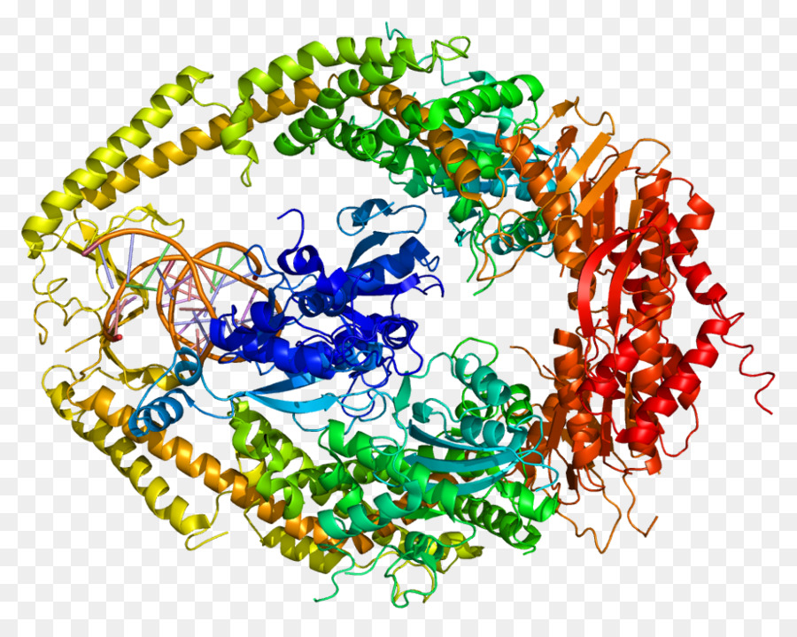 Structure Colorée，Molécule PNG