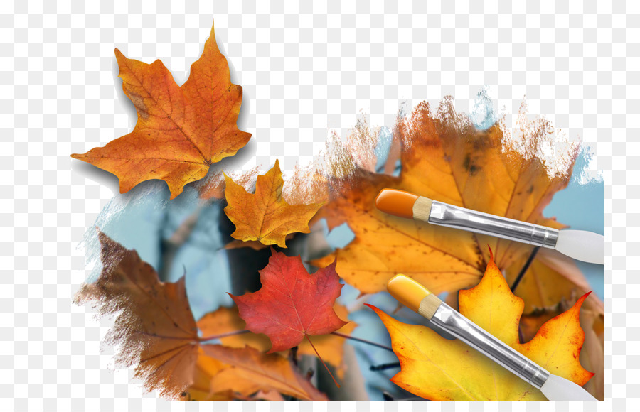 Feuilles D'automne，Automne PNG