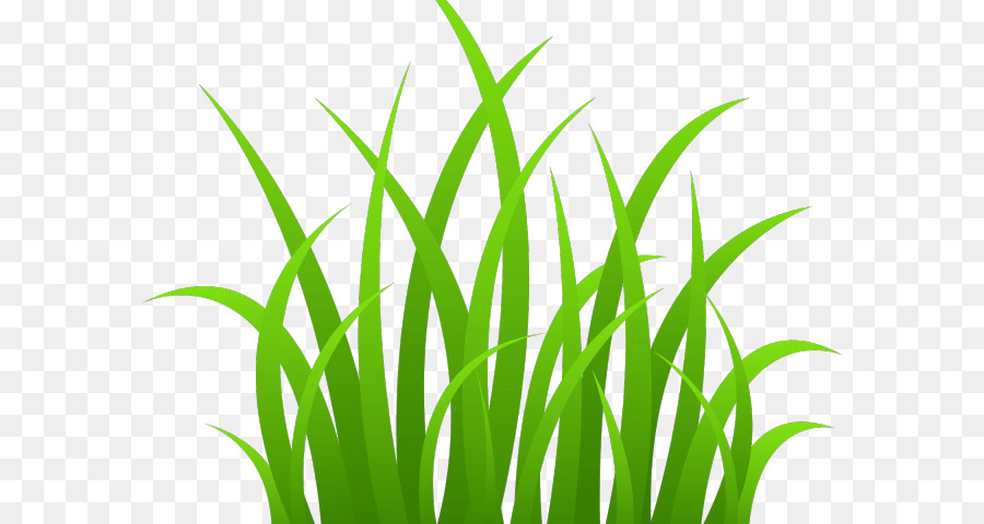 Herbe Verte，Nature PNG