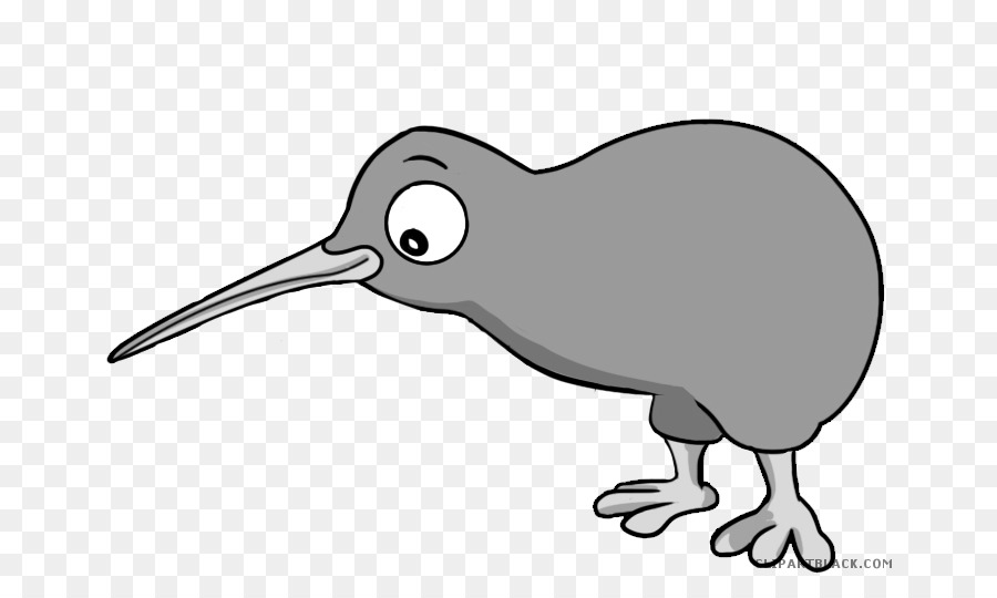 Oiseau Nouvellezélande Le Kiwi Dessin Png Oiseau