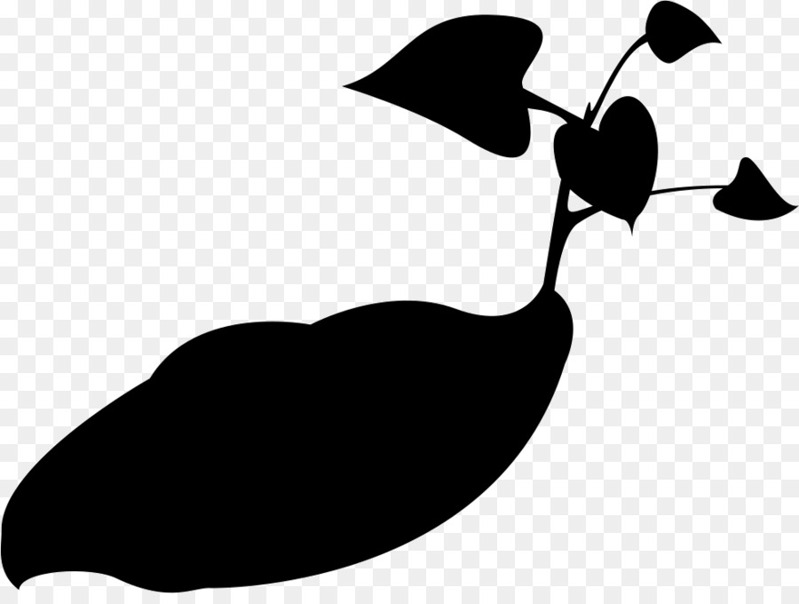 Canard，Noir PNG