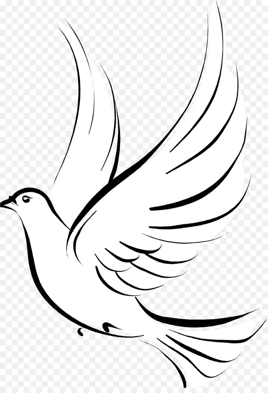Les Pigeons Et Les Colombes，Colombes Symboles PNG