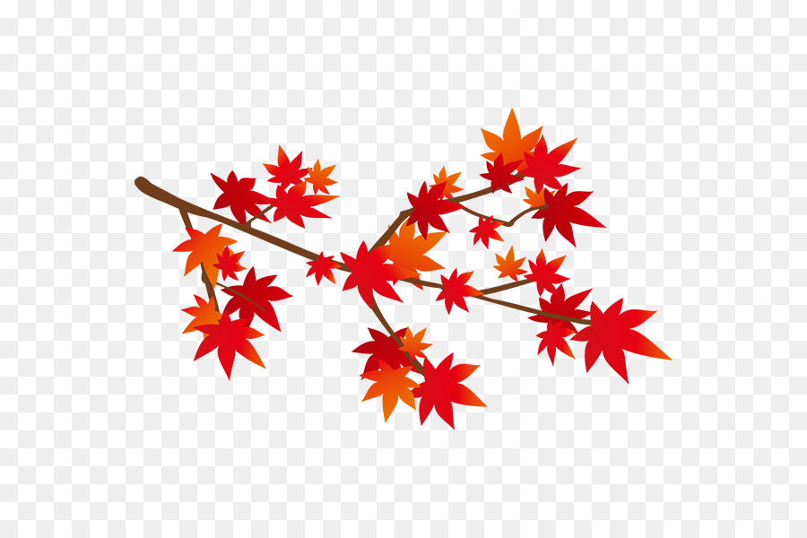 Feuilles D'érable，Automne PNG