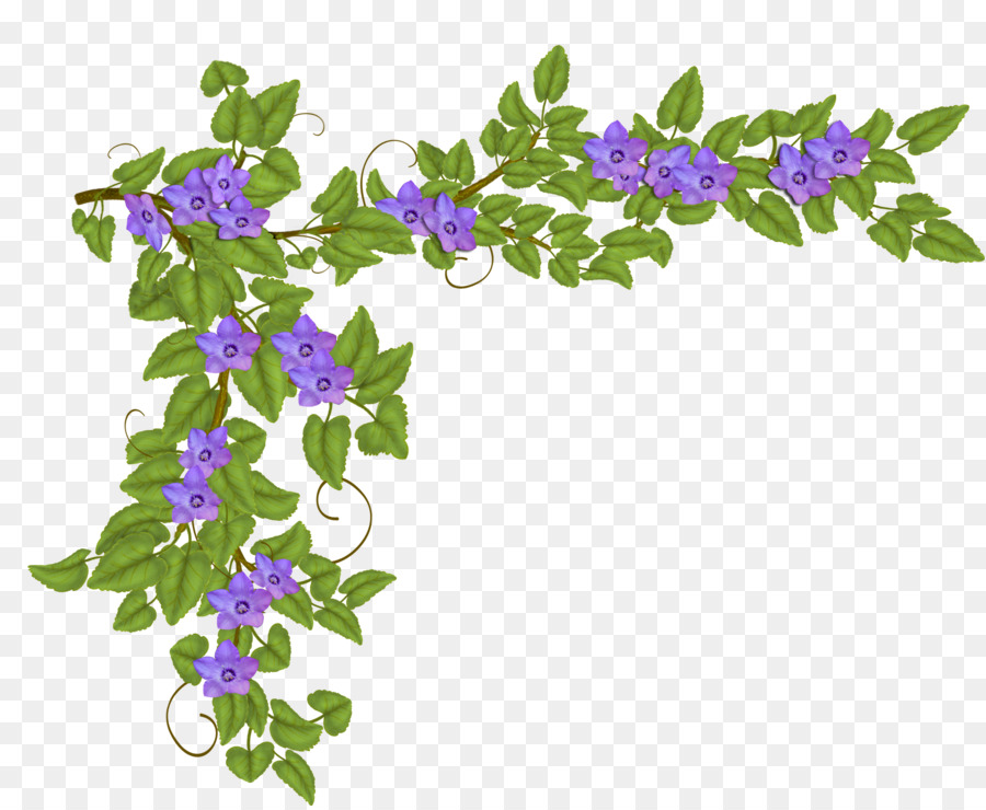 Design Floral，Fleur PNG