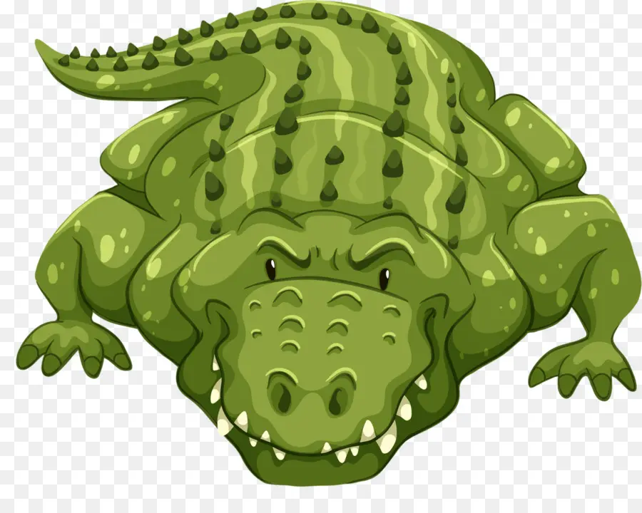 Crocodile，Les Alligators PNG