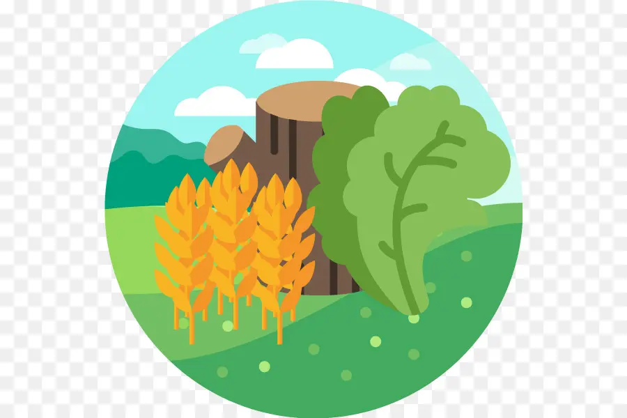 La Biomasse，Les énergies Renouvelables PNG
