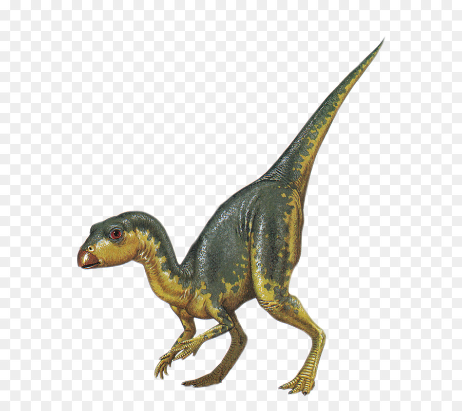 Dinosaure Vert，Préhistorique PNG