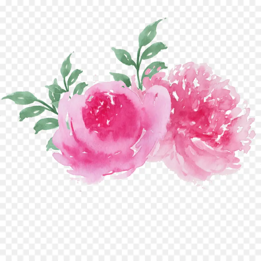 Fleurs Roses，Fleurs PNG