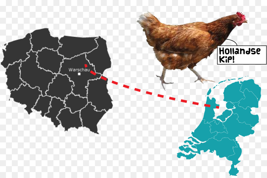 Carte Du Poulet，Pologne PNG