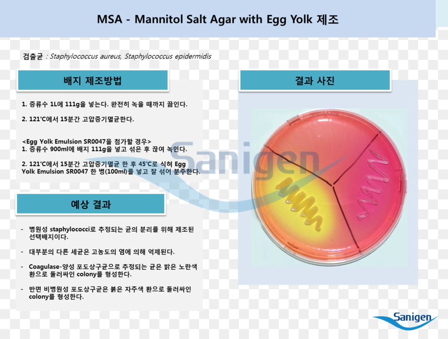 Agar Au Sel De Mannitol，La Gélose Nutritive PNG