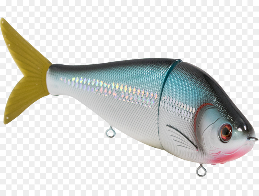 Chano，Les Poissons PNG