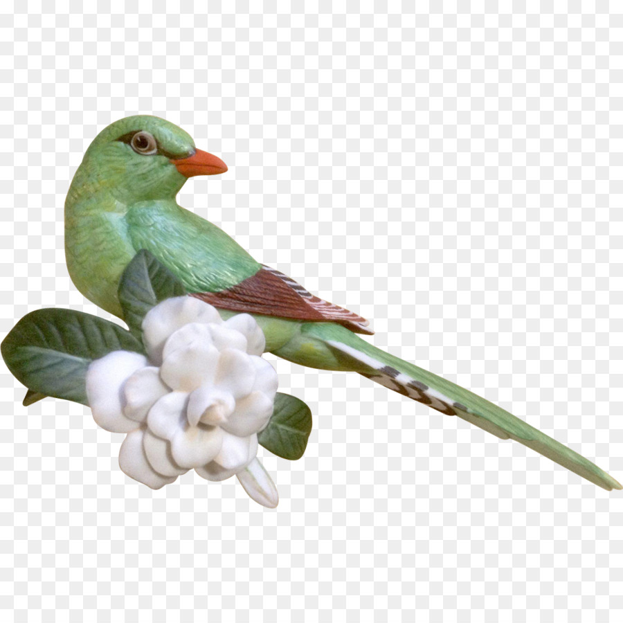 Figurine，Oiseau PNG