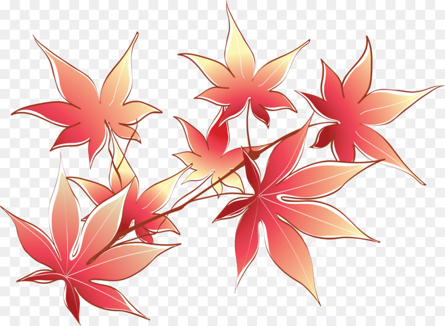 Feuilles D'érable，Automne PNG