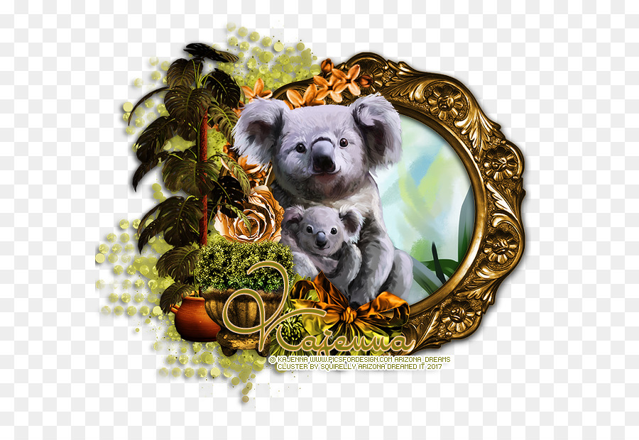 Koala，Ours PNG