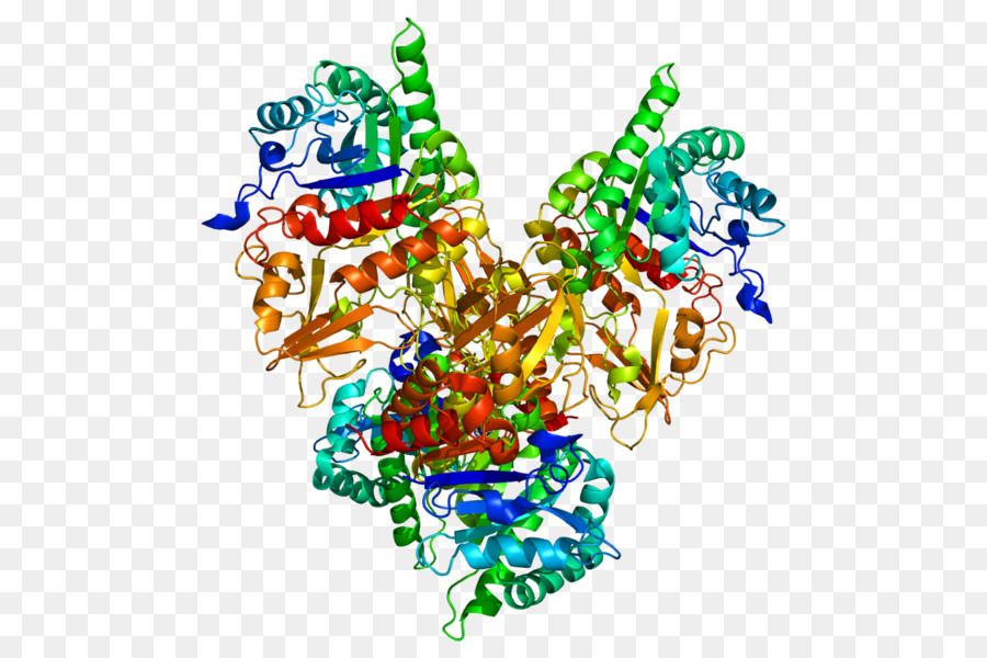 Chiites，Chitinase PNG