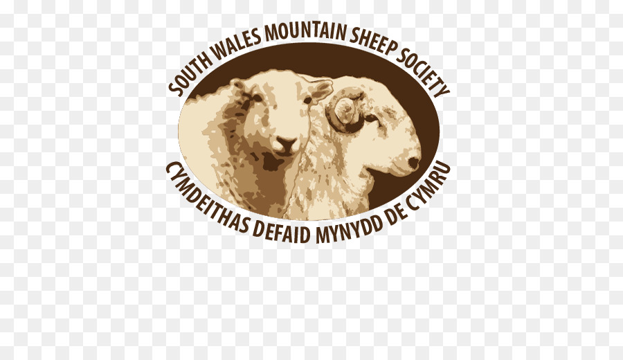 Au Sud Du Pays De Galles，Gallois Moutons De Montagne PNG