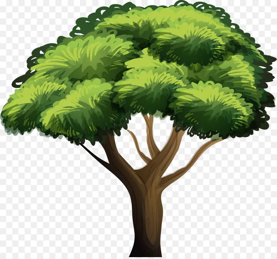 Arbre，Usine PNG