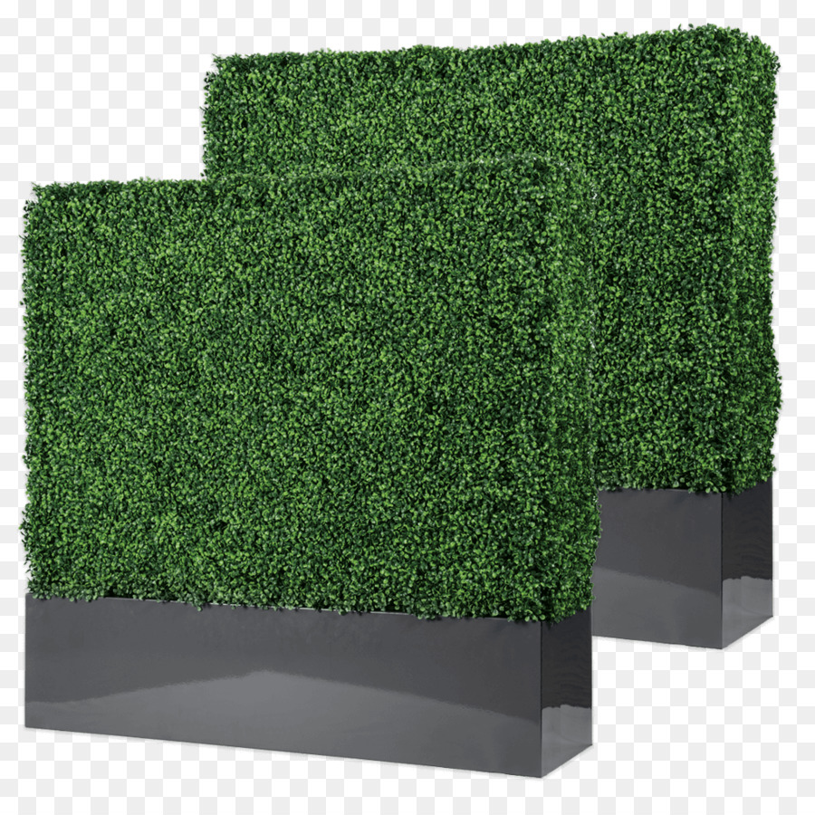 Haie，Rectangle PNG