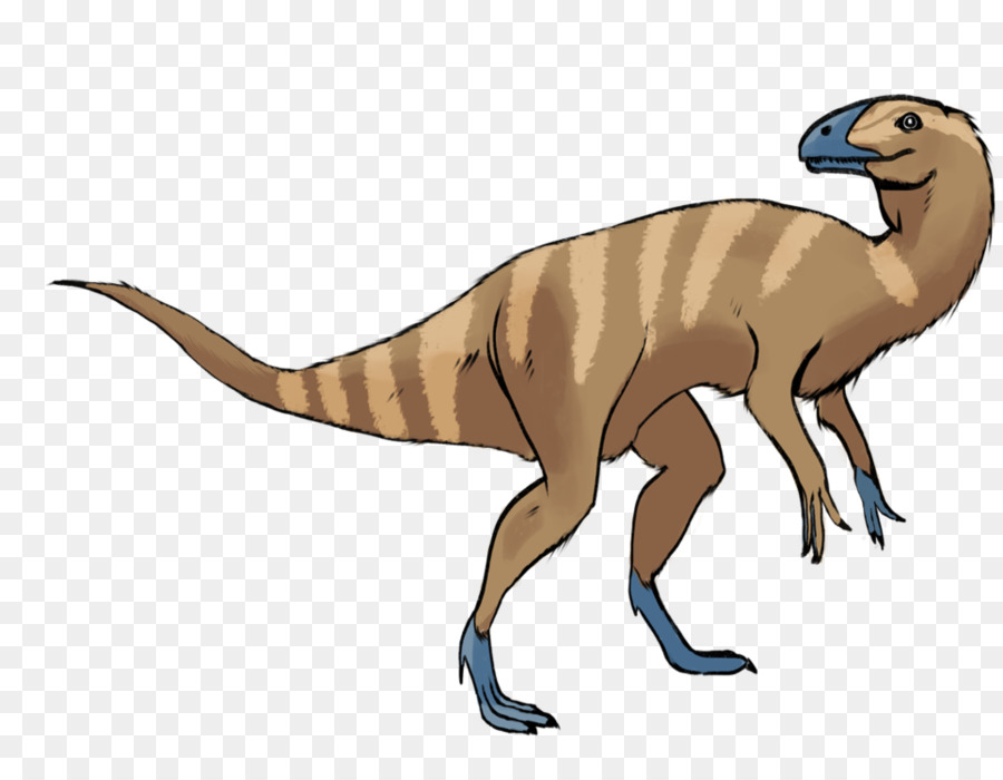 Velociraptor，Eoraptor Lunensis PNG