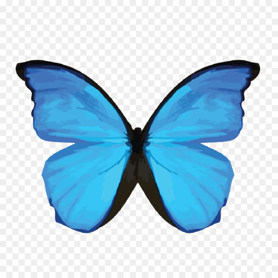 Papillon Bleu，Ailes PNG