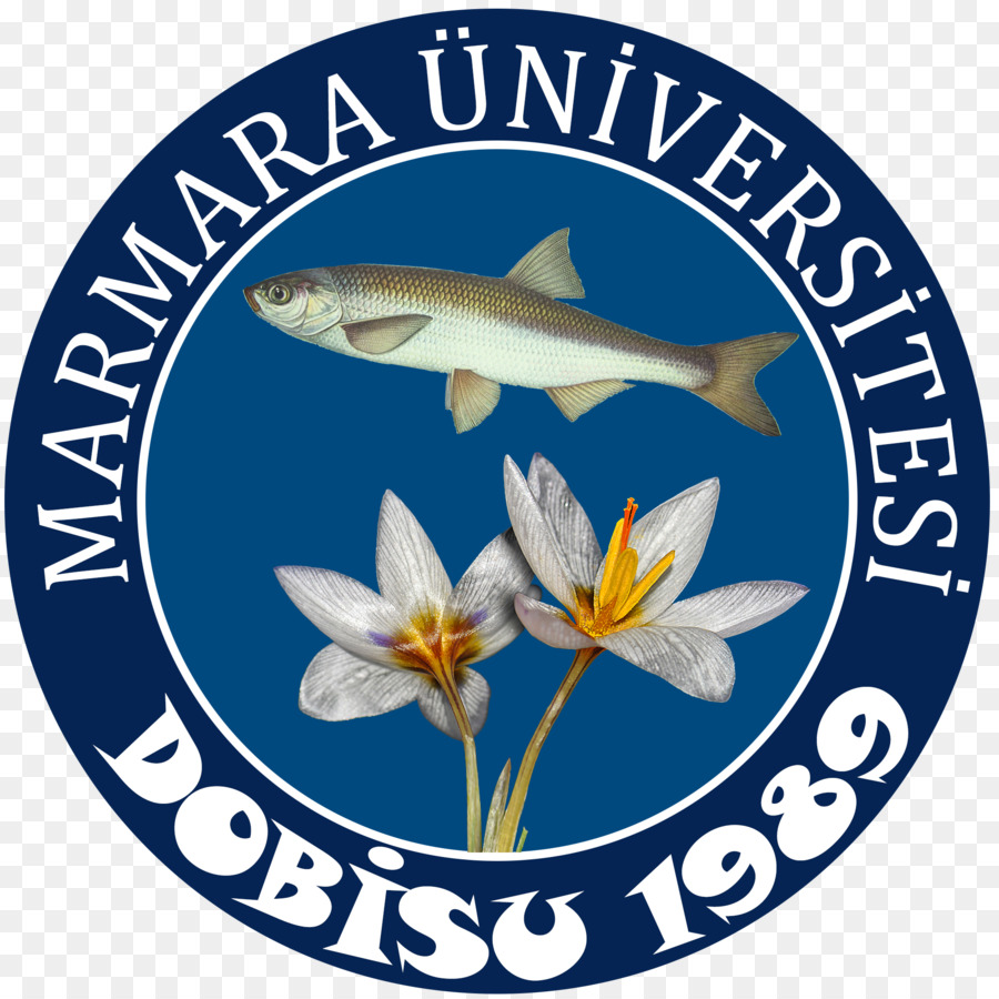 L Université De Marmara，Université PNG