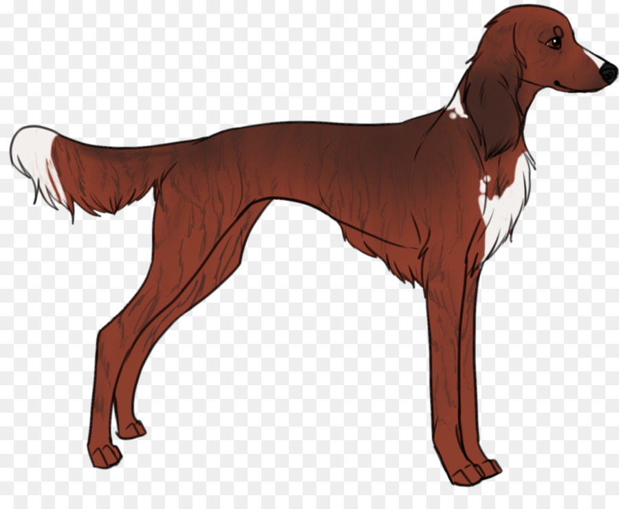 Longdog，Saluki PNG