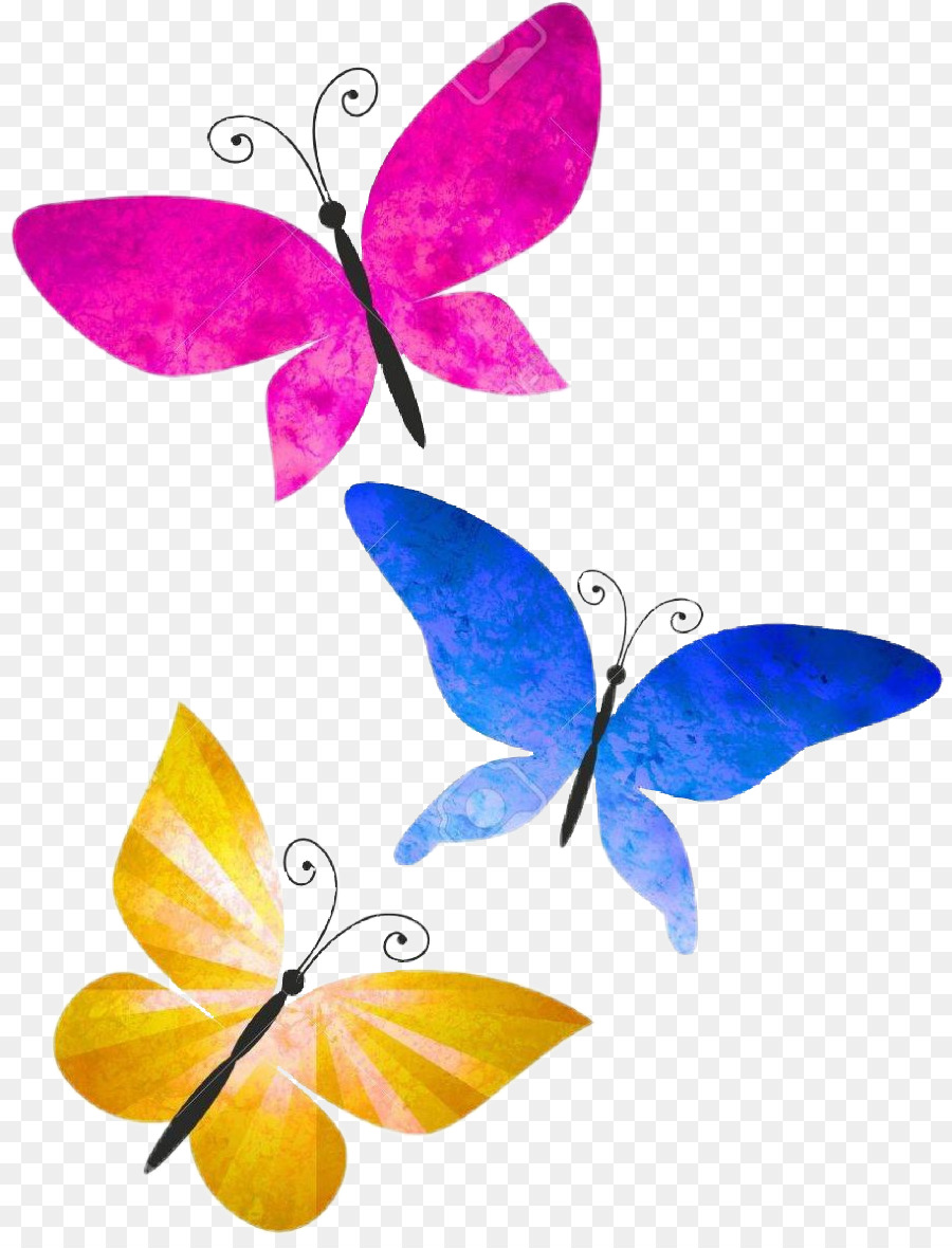 Papillons Colorés，Ailes PNG