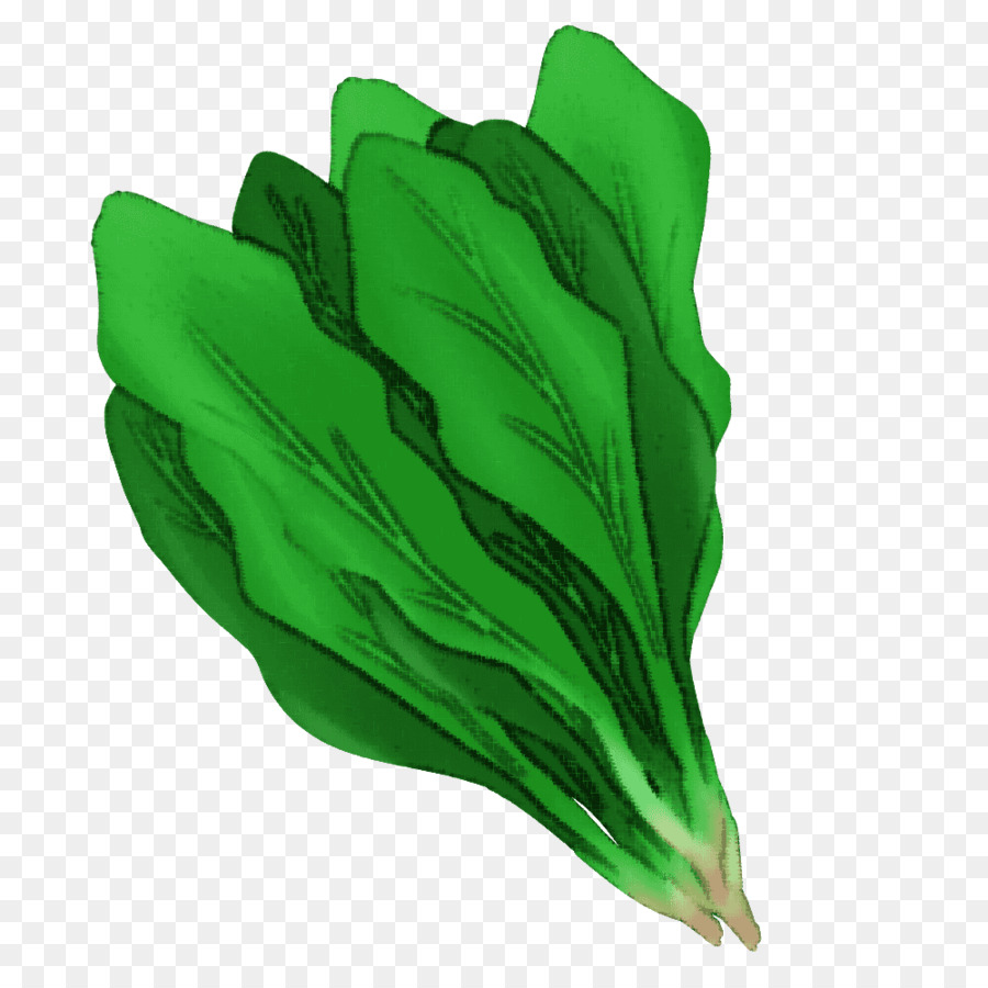 Légumes Feuilles，Légume PNG