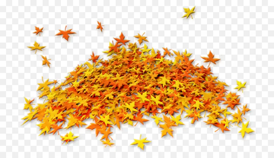 Feuilles D'automne，Automne PNG