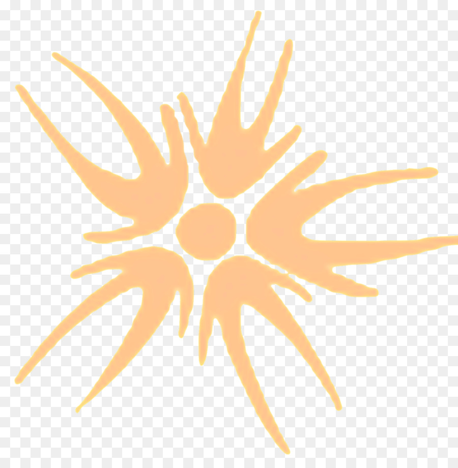 Soleil，Brillant PNG