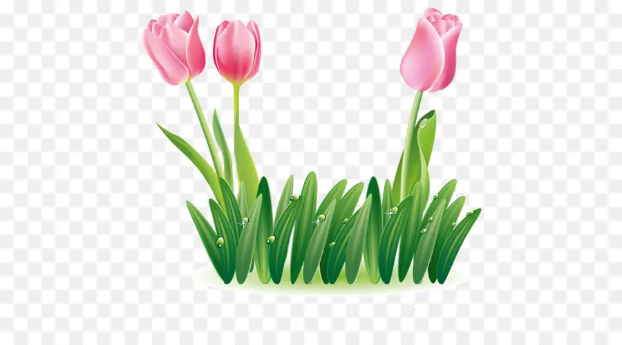 Tulipes Rouges Et Violettes，Jardin PNG