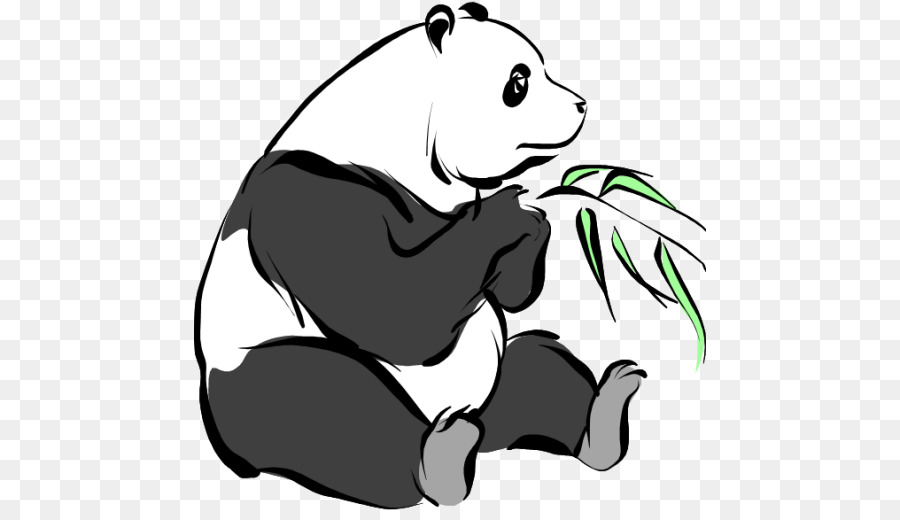 Panda Géant，Panda Rouge PNG